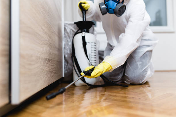 Best Rat Extermination Near Me  in Fairview, NJ