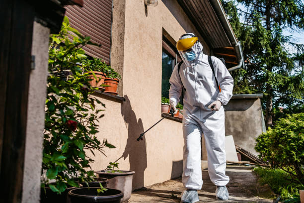 Best Emergency Pest Control  in Fairview, NJ