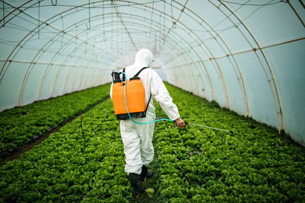 Reliable Fairview, NJ Pest Control Solutions