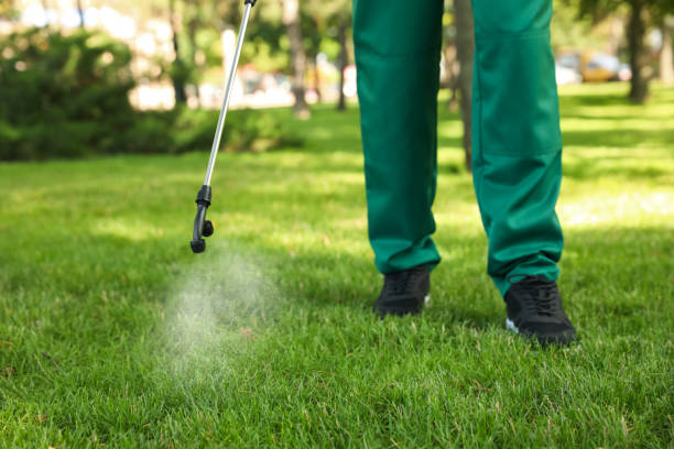 Best Termite Control Services  in Fairview, NJ