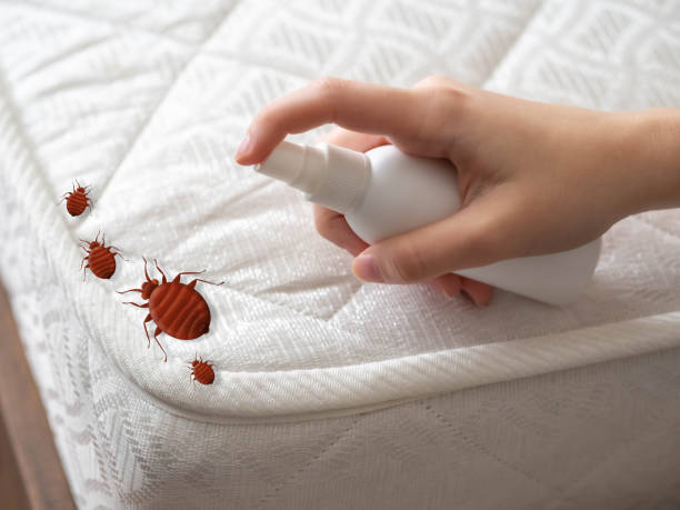 Pest Control for Restaurants in Fairview, NJ