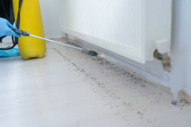 Best Pest Control Near Me in Fairview, NJ